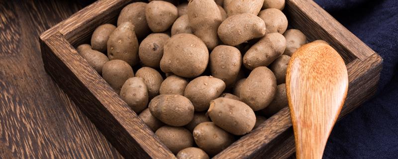 山药豆不能与什么东西一起吃 山药豆不熟食后会导致中毒吗