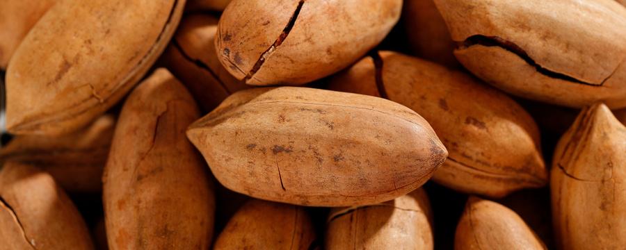 碧根果有原味的吗 为什么碧根果吃起来很涩