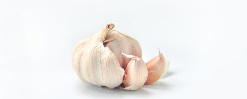 大蒜加冰糖煮水去鼻涕吗 冰糖煮大蒜有什么功效