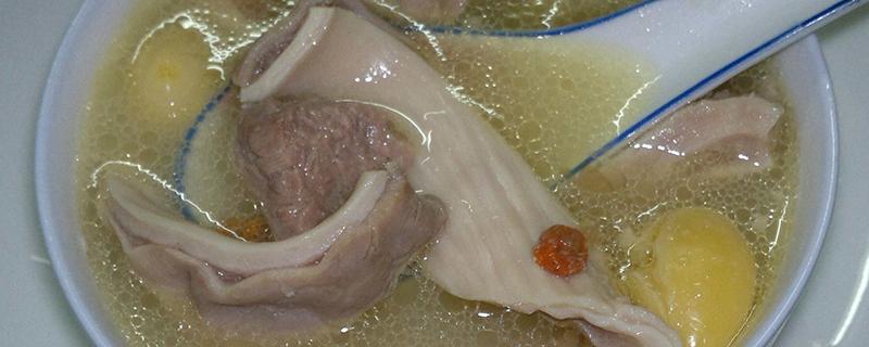 猪肚汤可以放西洋参吗 西洋参煲猪肚的功效