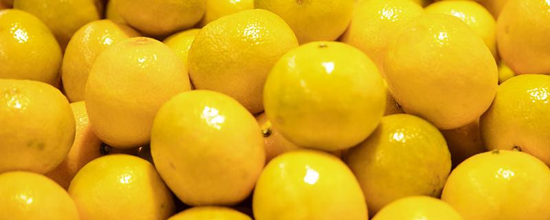 皇帝柑和沃柑哪个好吃 沃柑和皇帝柑的区别