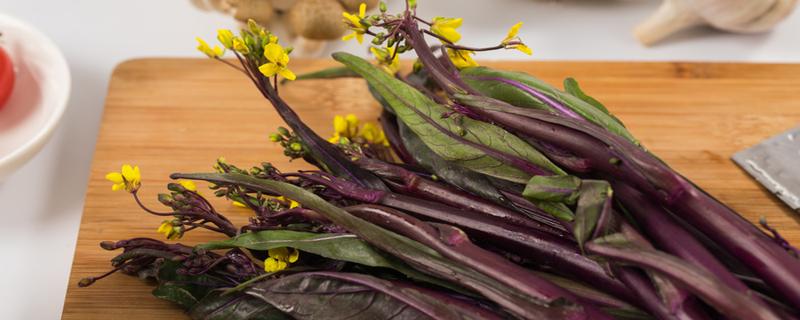 红菜苔补血吗 来姨妈可以吃红菜苔吗