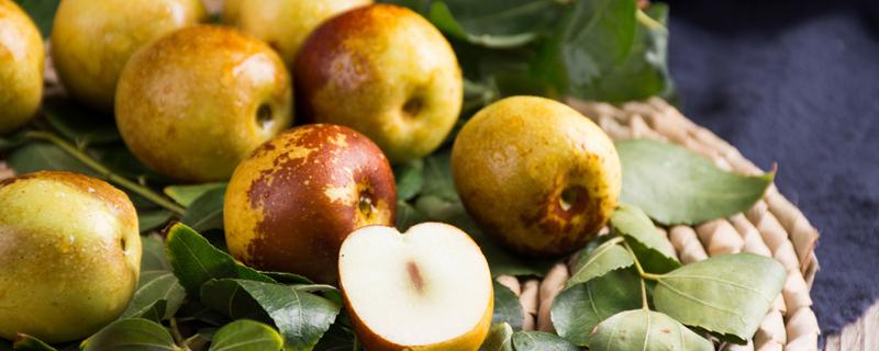 冬枣发苦是怎么回事 冬枣发苦要怎么吃