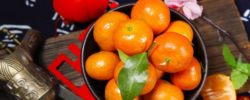 沃柑和皇帝柑什么区别 沃柑和皇帝柑哪个好吃