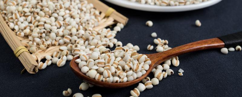 薏米不能和什么一起熬粥 薏米和什么搭配最好