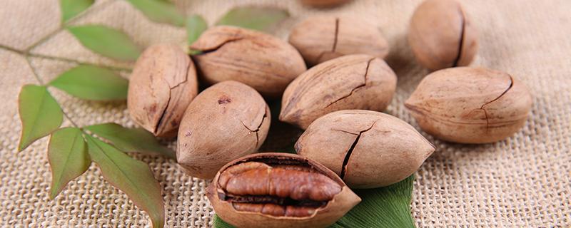 碧根果是核桃吗 碧根果和核桃哪个好吃