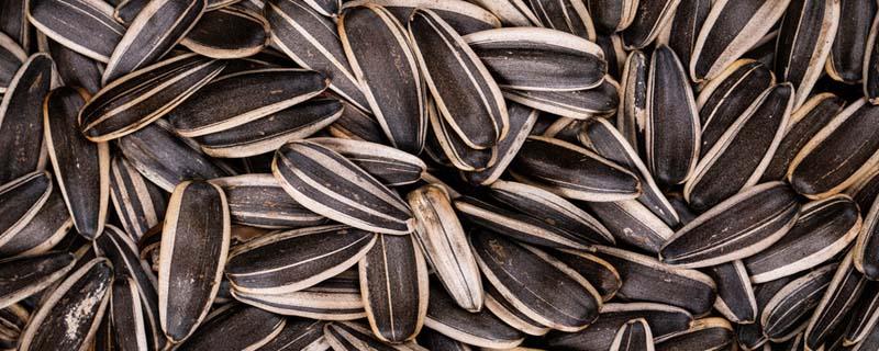 瓜子吃多了胃不舒服怎么办 瓜子吃多了有什么坏处