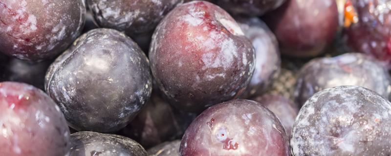 黑布林酸的就是没熟吗 黑布林酸的能吃吗