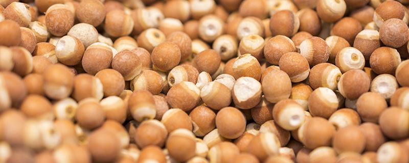 鸡头米和什么一起煮 甘草和芡实能一起煮吗