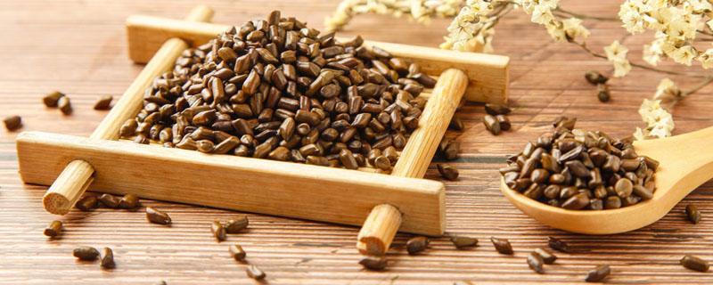 决明子胃不好的人可以喝吗 为什么喝决明子胃难受