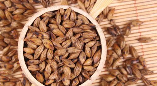 大麦茶哺乳期能喝吗 哺乳期喝大麦茶对宝宝有影响吗