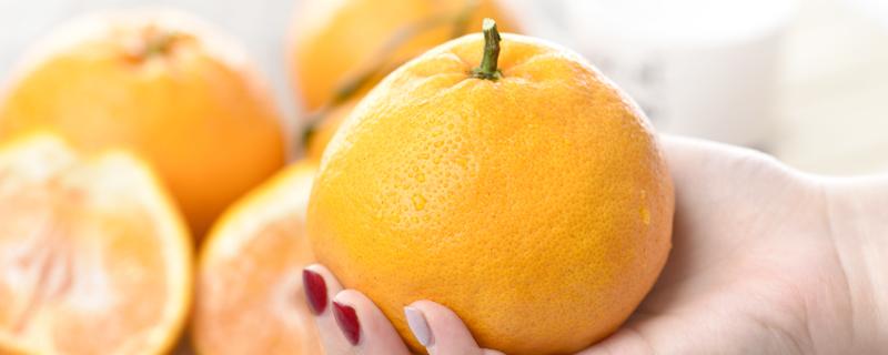 耙耙柑是橙子还是橘子 耙耙柑是不是就是丑橘