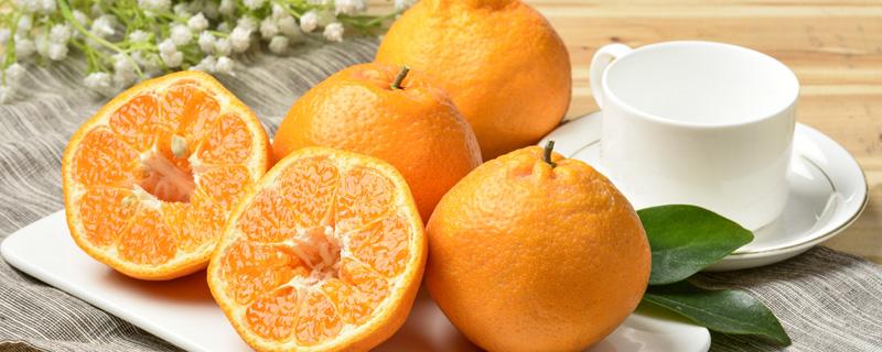 耙耙柑性温还是性寒 生理期可以吃耙耙柑吗