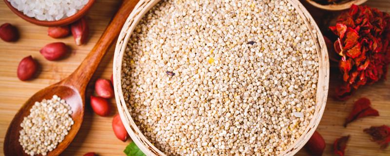藜麦吃前要泡几个小时 藜麦的正确吃法怎样做
