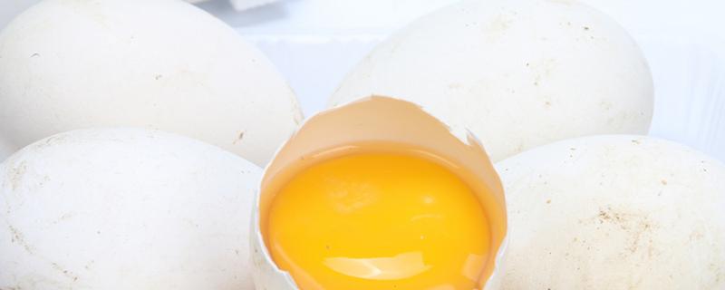 鹅蛋不可以和什么一起吃 鹅蛋和鸭蛋可以一起吃吗