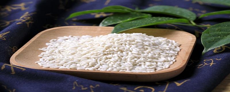 糯米和大米的区别 糯米禁忌人群