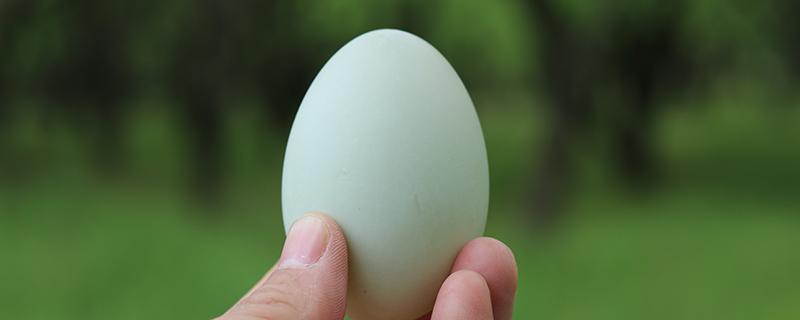 鸭蛋和蘑菇能一起吃吗 鸭蛋和蘑菇怎么做好吃