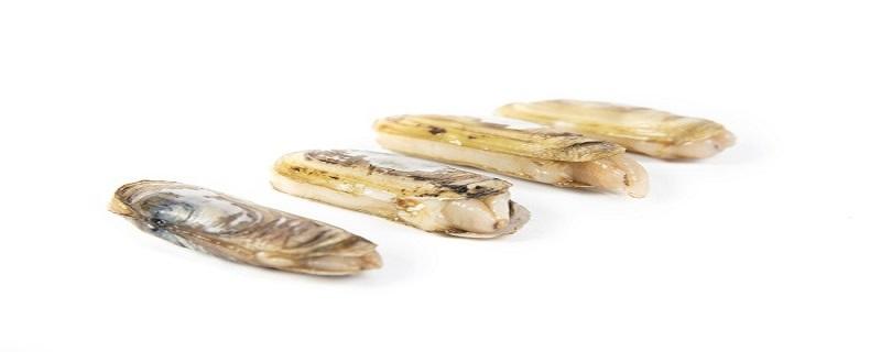 蛏子炒什么好吃 炒蛏子用焯水吗