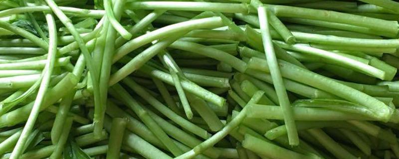 藜蒿上火吗 藜蒿是发物吗