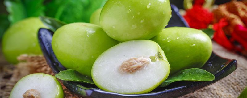 青枣里面的白虫是什么虫 青枣里面有虫子吃进去了怎么办