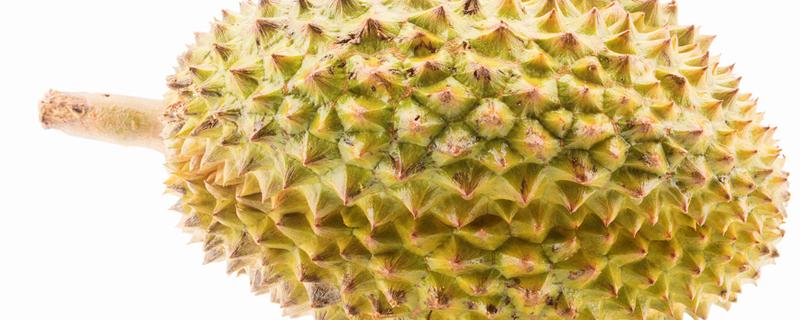 榴莲核能生吃吗 榴莲核能煮着吃吗