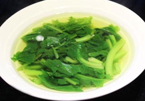 苦菜哺乳期可以吃吗哺乳期吃苦菜会回奶吗