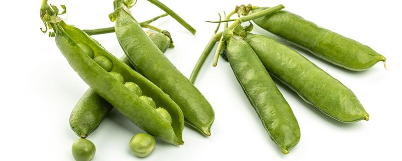 豌豆荚的热量高吗 豌豆荚减肥吗