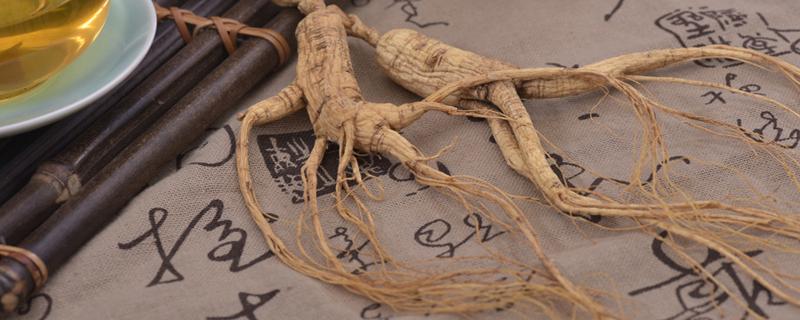 新鲜人参怎么泡酒 鲜人参泡酒前怎么处理