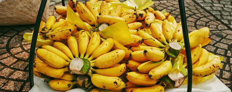 芭蕉怎么催熟 芭蕉可以放着自然熟吗