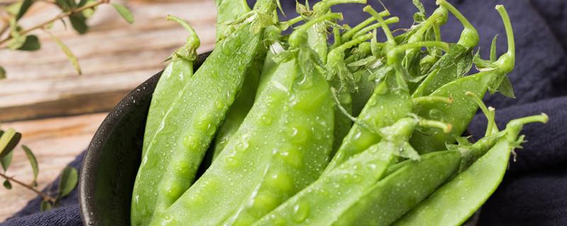 荷兰豆性寒还是性温 荷兰豆吃了会胀气吗