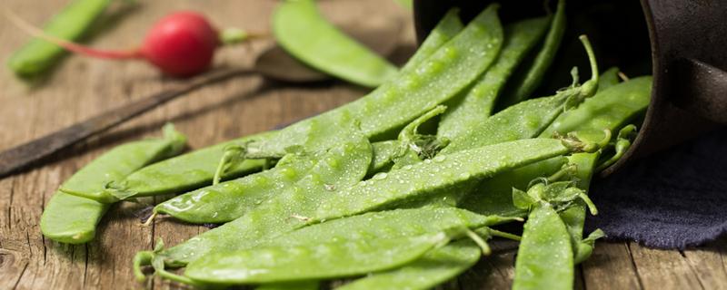 荷兰豆中毒多久发作 荷兰豆中毒的主要原因