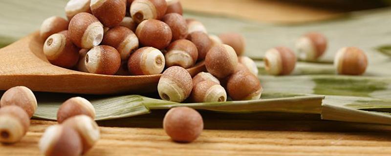 女人吃芡实有什么好处 鸡头米什么人不能吃