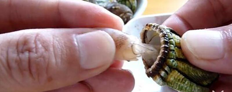 鹅颈藤壶怎么吃图解 鹅颈藤壶多少钱一斤