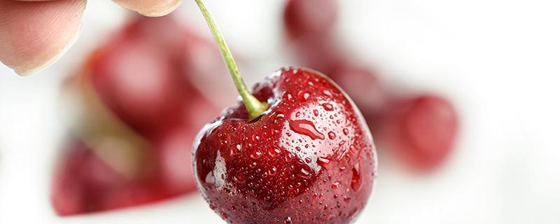 车厘子吃多了中毒症状 车厘子中毒怎么办