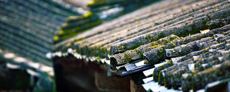 回南天应该开窗还是关窗 回南天如何防潮湿