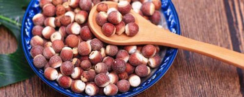 肝火旺的人为什么不能吃芡实 芡实什么人能吃什么人不能吃