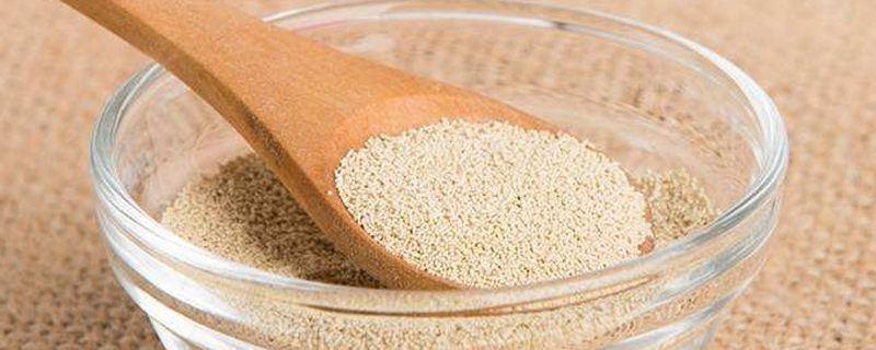 酵母和小苏打的区别 酵母小苏打放一起发面行吗