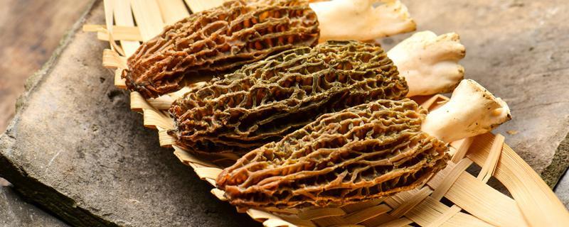 羊肚菌配什么炖汤好 羊肚菌煲汤一般放几颗