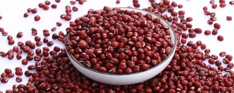 补血红豆好还是赤小豆好 红豆和赤小豆哪个去湿气效果比较好