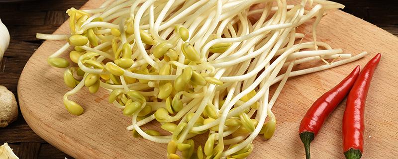 豆芽没煮熟吃了会有什么症状 黄豆芽放久了有毒吗