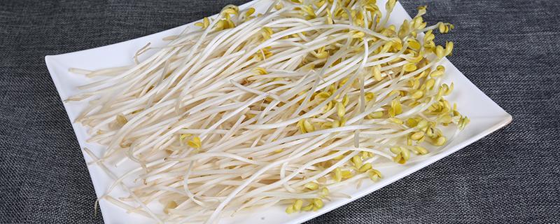 豆芽不能和什么一起吃 豆芽什么人不能吃