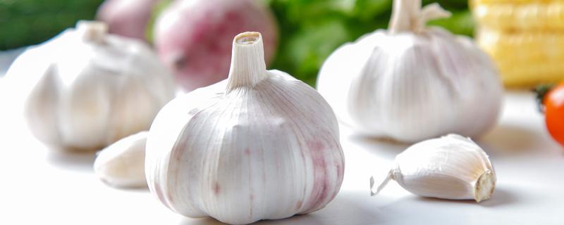 大蒜怎么保存不发芽 大蒜发芽能吃吗