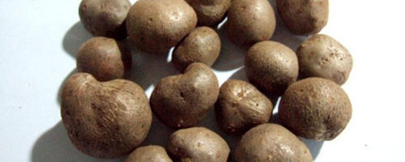 什么人不能吃山药豆 山药豆吃多了有害吗