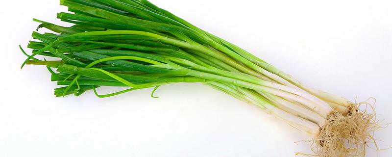 香葱怎么保存新鲜不烂 家里的葱太多怎样吃
