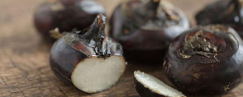 什么能代替马蹄粉 葛粉可以代替马蹄粉吗