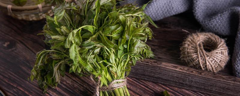 野菜发苦的能吃吗 野菜怎么去除苦味