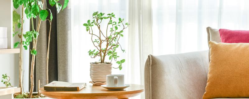 回潮天气窗户是打开好还是关闭好 回南天墙壁发霉对人体有害吗