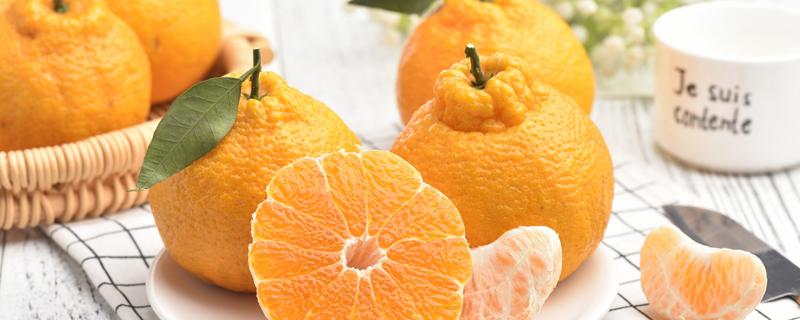 耙耙柑什么人不能吃 耙耙柑热性还是凉性