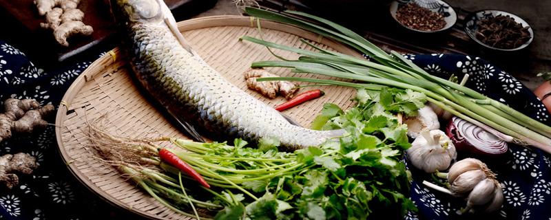 刀鱼需要蒸多长时间 刀鱼清蒸要去鱼鳞吗