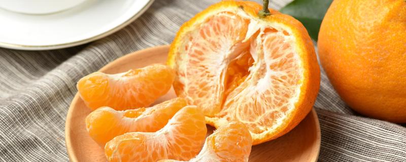 耙耙柑什么人不能吃 粑粑柑上火还是败火